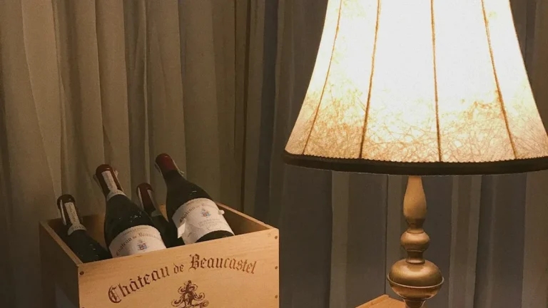 Velvet Luxe Wine Bag