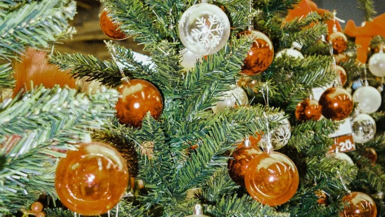 Scented Orange Slice Ornaments