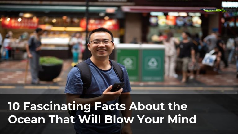 10 Fascinating Facts About the Ocean That Will Blow Your Mind