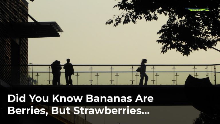 Did You Know Bananas Are Berries, But Strawberries Aren’t?
