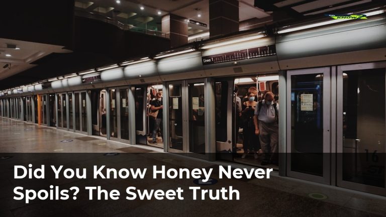 Did You Know Honey Never Spoils? The Sweet Truth