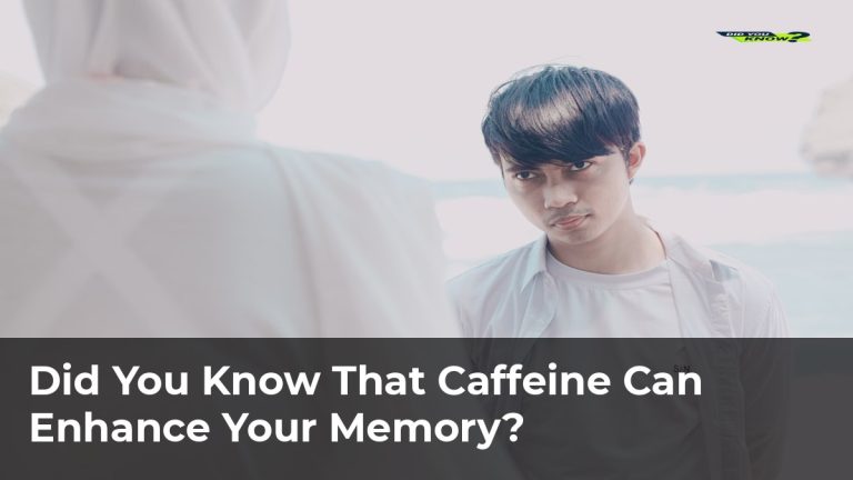 Did You Know That Caffeine Can Enhance Your Memory?