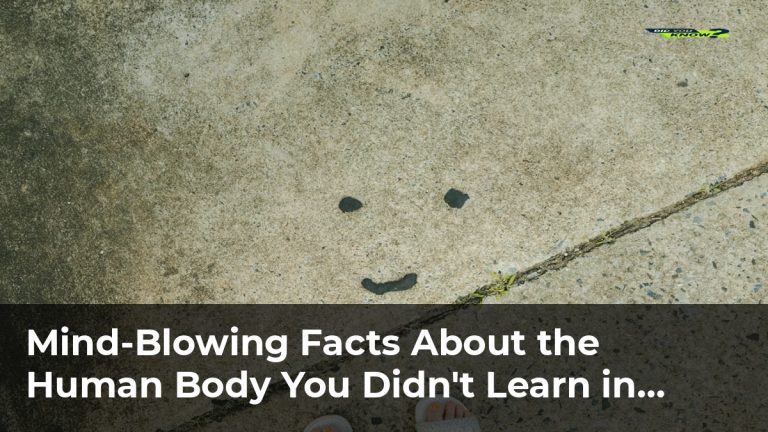 Mind-Blowing Facts About the Human Body You Didn’t Learn in School