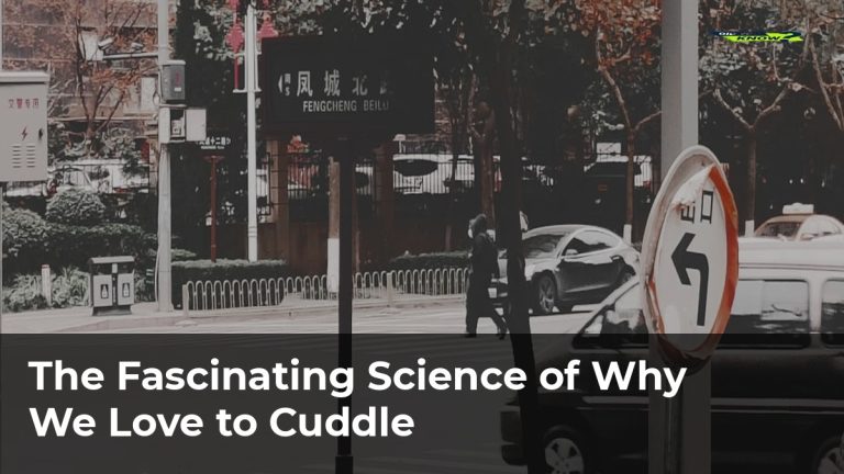 The Fascinating Science of Why We Love to Cuddle