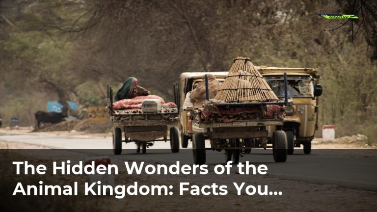 The Hidden Wonders of the Animal Kingdom: Facts You Should Know