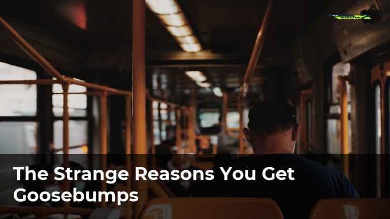 The Strange Reasons You Get Goosebumps