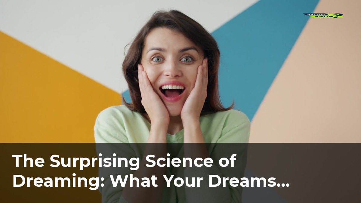 The Surprising Science of Dreaming What Your Dreams Really Mean