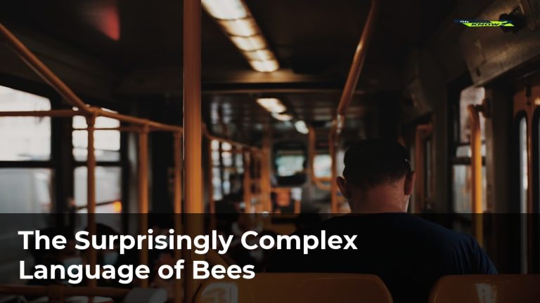 The Surprisingly Complex Language of Bees