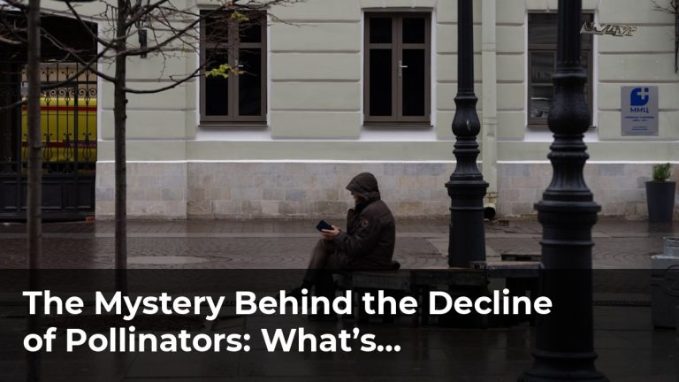 The Mystery Behind the Decline of Pollinators: What’s Happening?