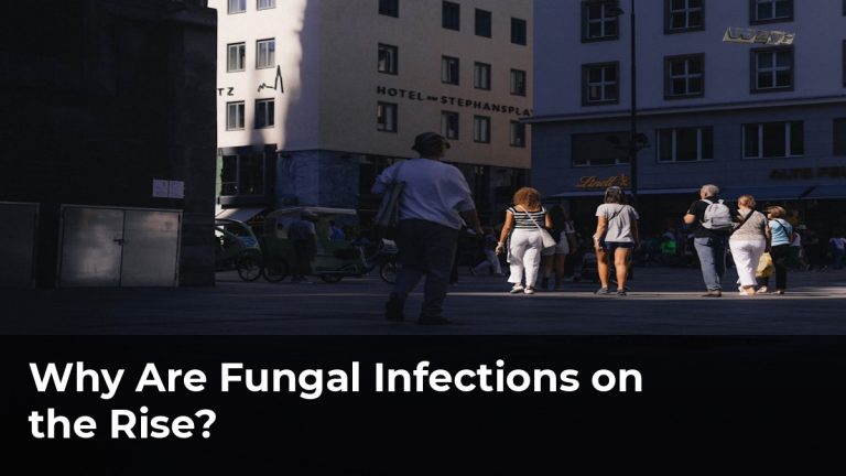 Why Are Fungal Infections on the Rise?