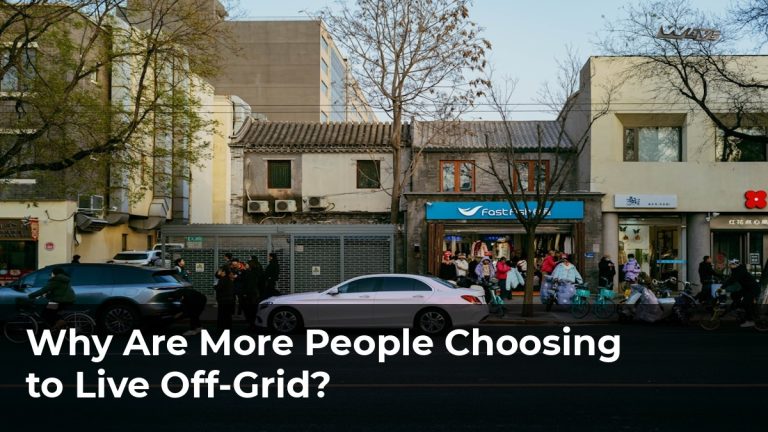 Why Are More People Choosing to Live Off-Grid?