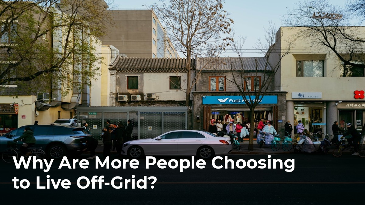 Photo inspiration: Visual Reference: Why Are More People Choosing To Live Off Grid