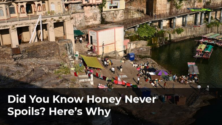 Did You Know Honey Never Spoils? Here’s Why