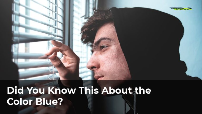 Did You Know This About the Color Blue?