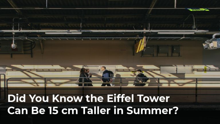 Did You Know the Eiffel Tower Can Be 15 cm Taller in Summer?