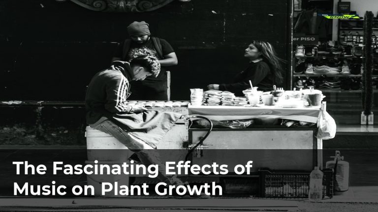 The Fascinating Effects of Music on Plant Growth