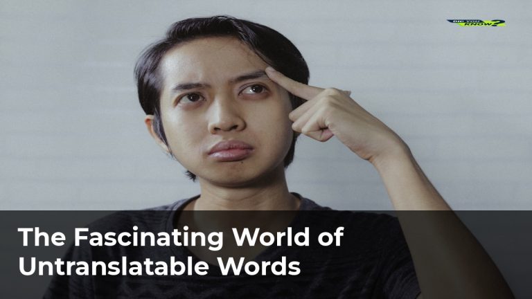 The Fascinating World of Untranslatable Words
