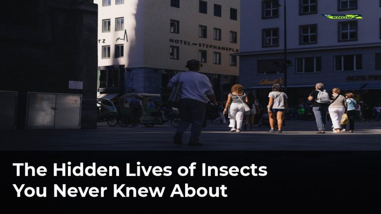 The Hidden Lives of Insects You Never Knew About