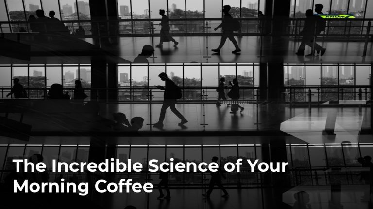 The Incredible Science of Your Morning Coffee