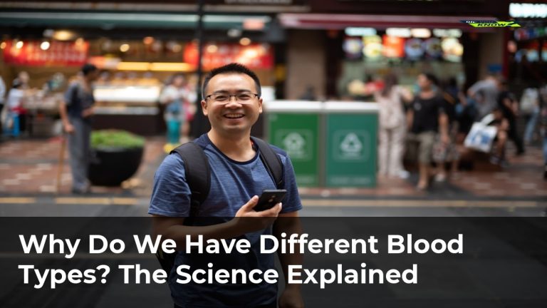 Why Do We Have Different Blood Types? The Science Explained