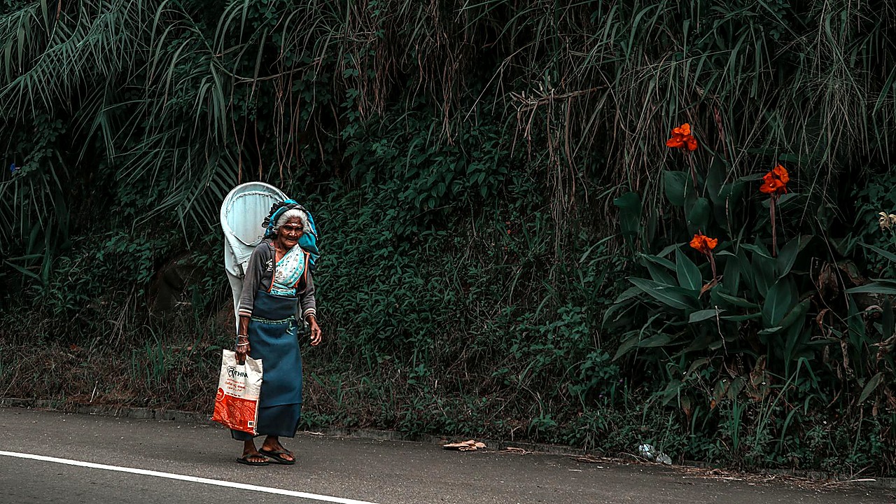 West Indies Women Rally Late To Defeat Sri Lanka Women