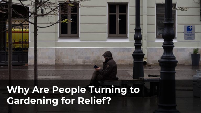Why Are People Turning to Gardening for Relief?