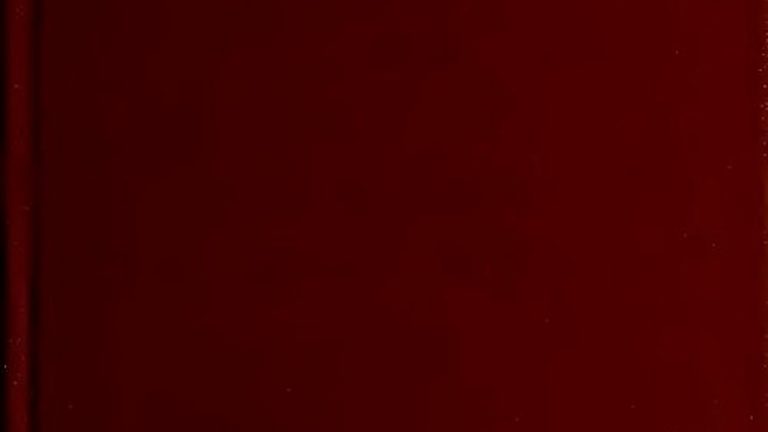 Husband Of Missing U.S. Woman Leaves Bahamas, Lawyer Says