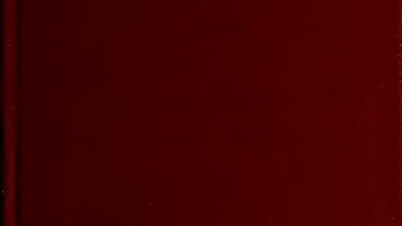 Husband Of Missing U.S. Woman Leaves Bahamas, Lawyer Says