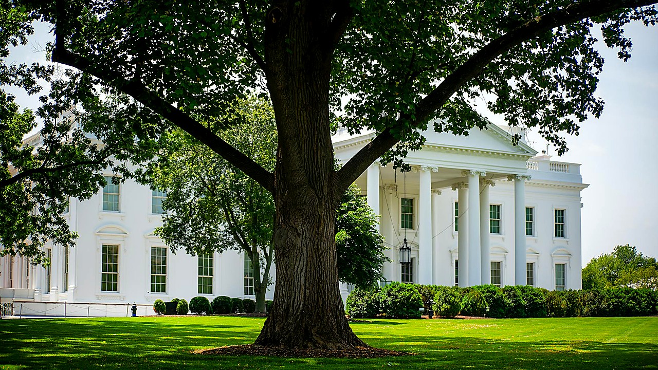 Trump Cancels U.S. Envoys' Pakistan Trip for Iran War Talks