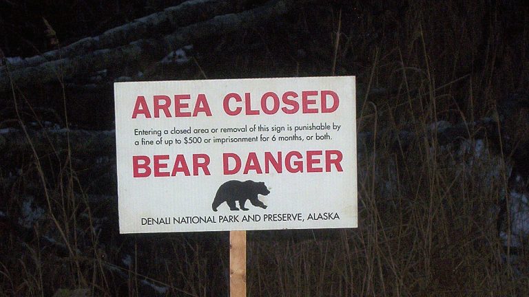 Missing Hiker Found Dead In Suspected Bear Attack At Glacier