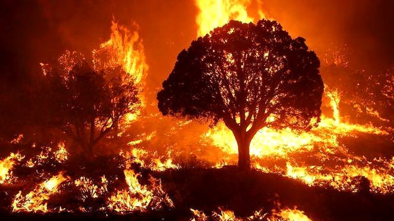 Fighter Jet Crashes In Washington State, Ignites Wildfire