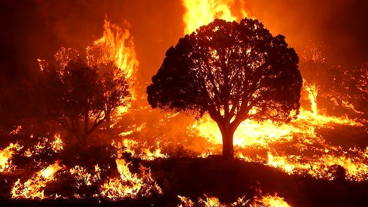 Fighter Jet Crashes In Washington State, Ignites Wildfire