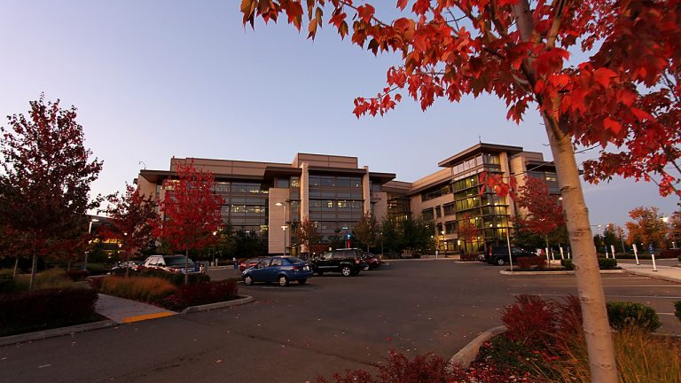 Microsoft Sells Four Xbox Studios In Major Gaming Cuts