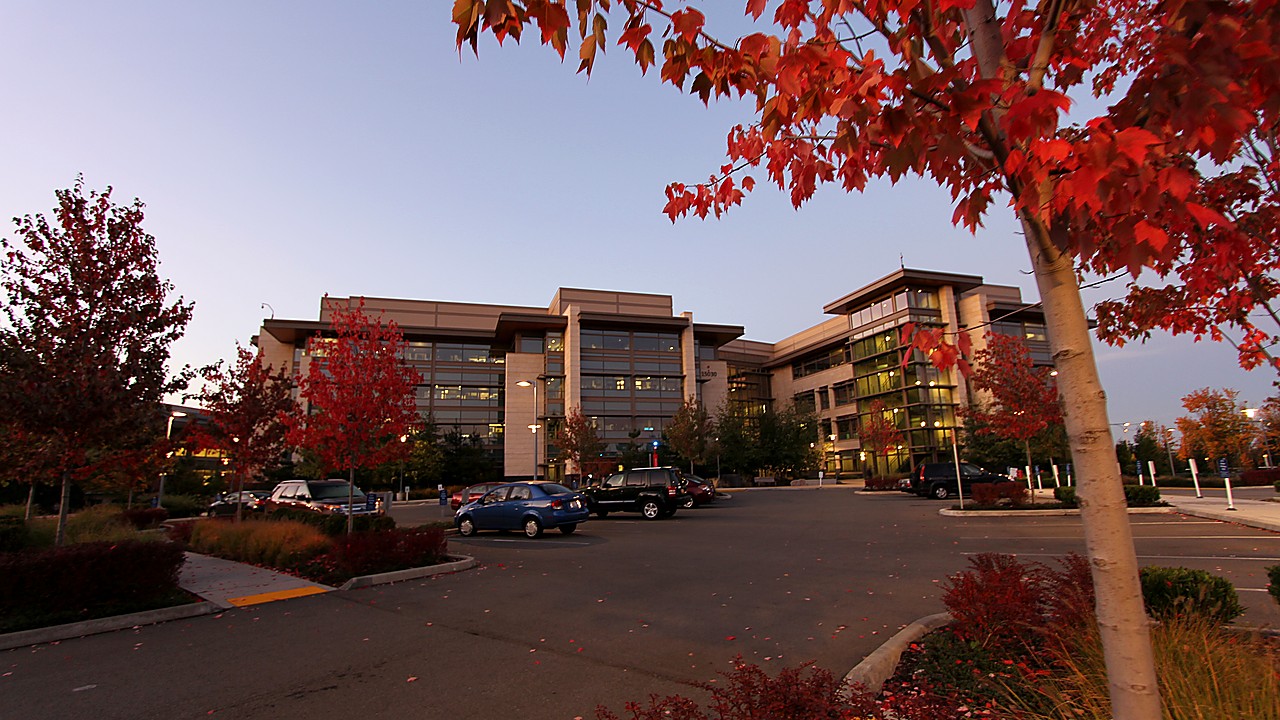 Microsoft Sells Four Xbox Studios In Major Gaming Cuts