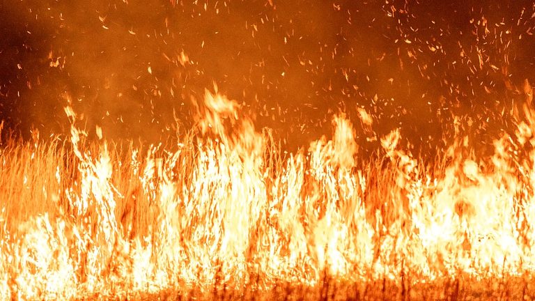220,000 Evacuated In France And Spain As Wildfires Spread