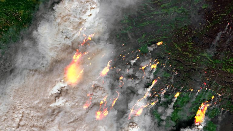 Wildfires In France Force Mass Evacuations In Provence Region